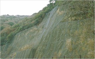 落石防止網 覆式・ポケット式 金網