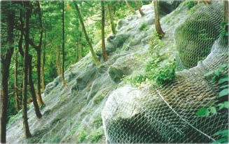 KSネット・ワイヤネットの詳細