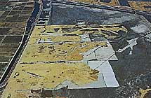 織布 テラパックスの詳細