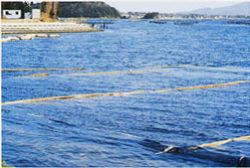 メッシュタイプ繊維系ネット インターフォースIGの詳細