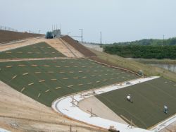 不織布 キュアマットCCの詳細