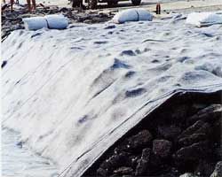 ニードキーパーの詳細