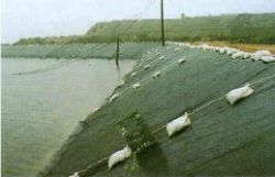 防砂板 サンPVCシートの詳細