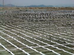 バーチカルドレーン材 ジオドレーンの詳細