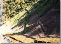 緑化柵の詳細