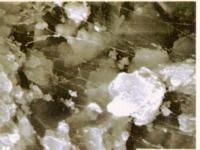 スーパーグリーンライムの詳細