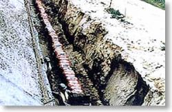 CCP-5号