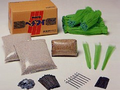 ベヂタイの詳細