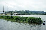 植物育成床の詳細