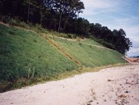 エゾグローの詳細