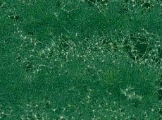 ビクトールの詳細