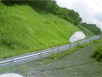 アルファグリーンの詳細