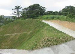 ハイモシード100Pの詳細