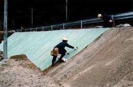 人工芝類 張芝 ロンケットネットの詳細