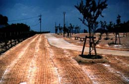 人工芝類 張芝 ロンケットワラ