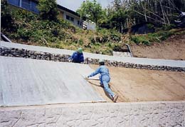 人工芝類 植生シート ロンケットエースジープ