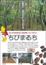 ちびまるちの詳細