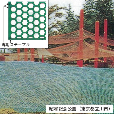 グラスフィットの詳細
