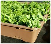 ベジルーフユニット500の詳細