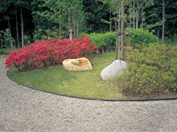 エッジキングの詳細