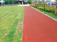 サスエッジの詳細