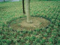 ルートバリアの詳細