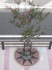 ルーツグレート透水性タイプの詳細