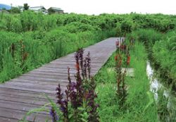 プラウッドの詳細