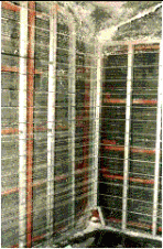 ヤマリブの詳細