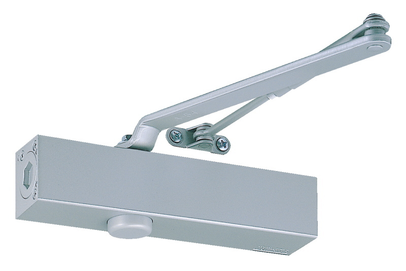 ニュースターの詳細