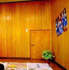 ファンシー札鶴の詳細