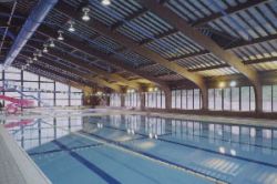 複合板(発泡樹脂板等) ダイワハードボード 温水プール用の詳細