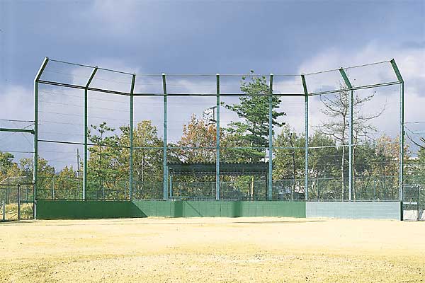 バックネットの詳細