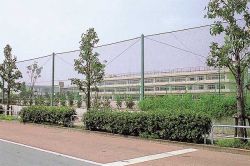 防球ネット ② 楽天市場】ダブルネットフェンス22防球フェンス 防球ネット