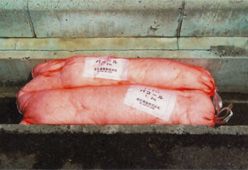 カポックピローの詳細