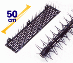 とりパスの詳細