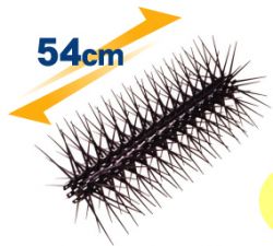 トリケードの詳細