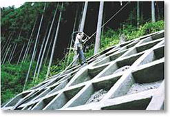 Q&Sフレーム工法の詳細