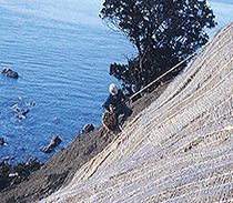 ストローマット緑化工の詳細