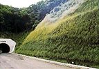 ARG岩盤緑化工の詳細