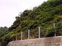 ウィングロック植生工法の詳細