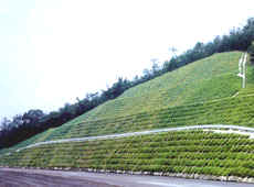 ソイルクリート工法の詳細