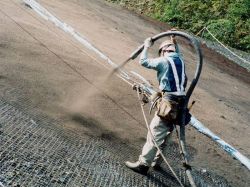 カエルドグリーンの詳細