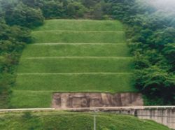 ウィングロック植生工法の詳細