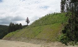 植物誘導吹付工の詳細