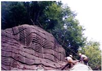 スーパーバイオ・オーガニック工法の詳細