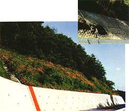 キャトルバン工法