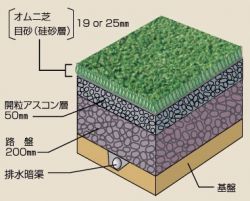 ソフトステップオムニコートVP
