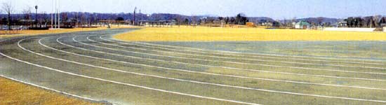 グリーンサンド