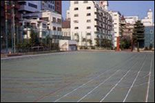 コートエースPの詳細